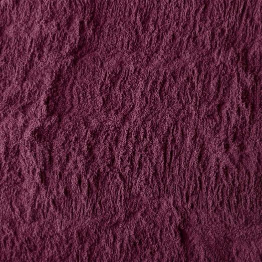 Acai en Polvo Salud Viva Bio 50g