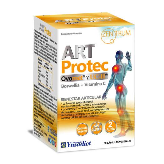 Art Protec  Zentrum Ynsadiet 60 Cápsulas