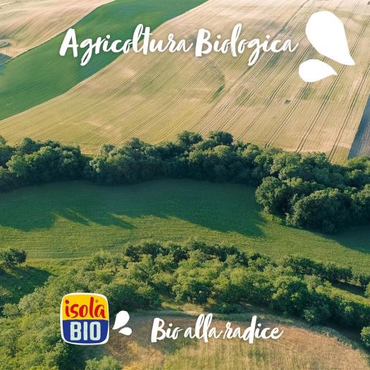Bebida de Arroz y Avellanas IsolaBio Bio 1L