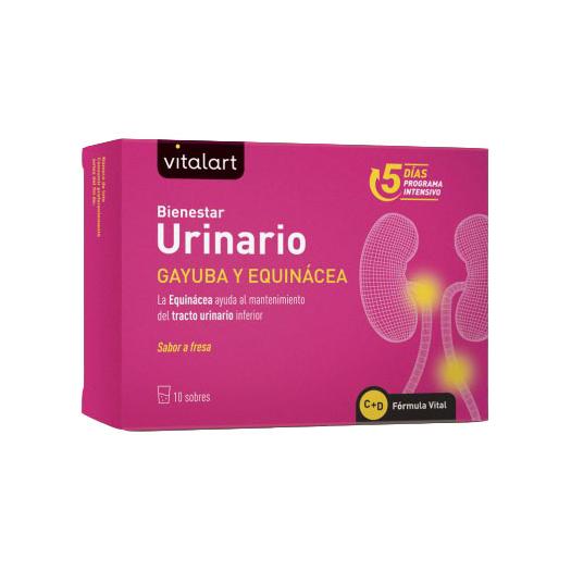 Bienestar Urinario con Gayuba y Equinácea Vitalart 10 Sobres