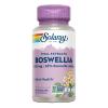 Boswellia Solaray 60 VegCaps