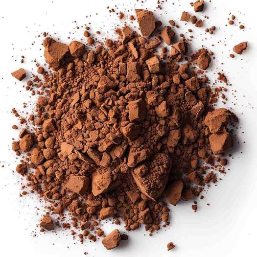 Cacao en Polvo Salud Viva Bio 250g