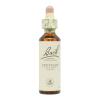 Centaury Centaura 04 Flores de Bach Originales 20ml