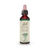 Centaury Centaura 04 Flores de Bach Originales 20ml