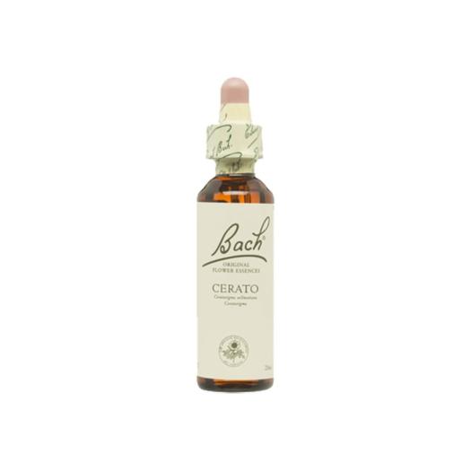 Cerato Ceratostigma 05 Flores de Bach Originales 20ml