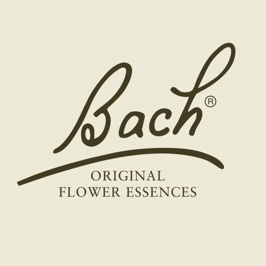 Cerato Ceratostigma 05 Flores de Bach Originales 20ml
