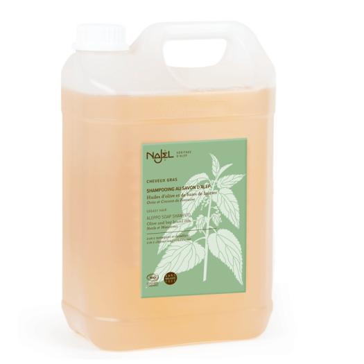 Champú y Acondicionador 2 en 1 de Alepo Cabellos Grasos Najel Bio 5L