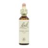 Cherry Plum Cerasífera 06 Flores de Bach Originales 20ml