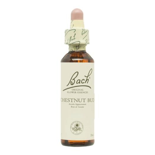 Chestnut Bud Brote de Castaño 07 Flores de Bach Originales 20ml
