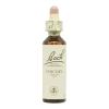 Chicory Achicoria 08 Flores de Bach Originales 20ml