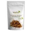Cordyceps Sinensis Salud Viva Bio 100g