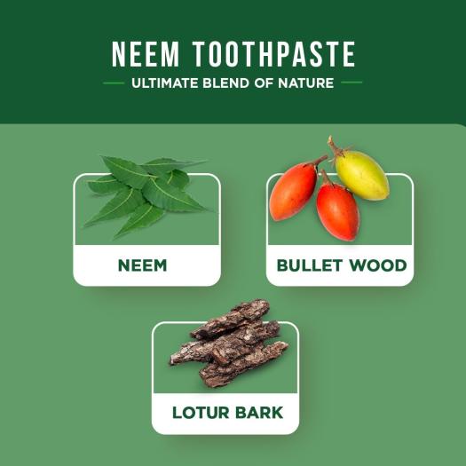 Dentífrico Ayurvédico al Neem Dabur 100 ml