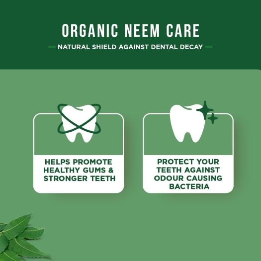 Dentífrico Ayurvédico al Neem Dabur 100 ml