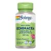 Echinacea Purpurea y Angustifolia 460mg 100 VegCaps