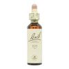 Elm Olmo 11 Flores de Bach Originales 20ml