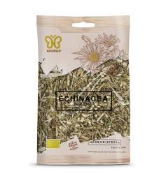 Equinácea Naturcid Bio 45g
