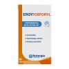 ErgyFosforyl Nutergia 60 perlas