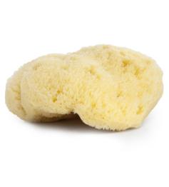 Esponja Natural del Mar Mediterráneo Najel