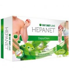 Hepanet Waydiet 20 Viales