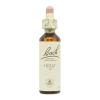 Holly Acebo 15 Flores de Bach Originales 20ml