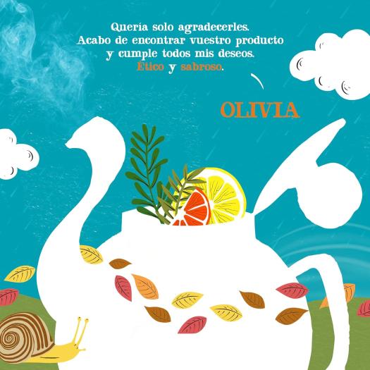 Infusión DETOX Cupper Bio 20 bolsitas