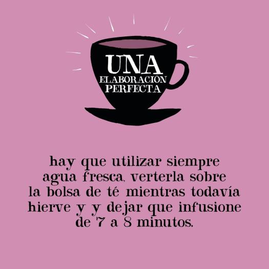 Infusión Fría con Grosella Negra y Equinácea Cupper Bio 10 bolsitas