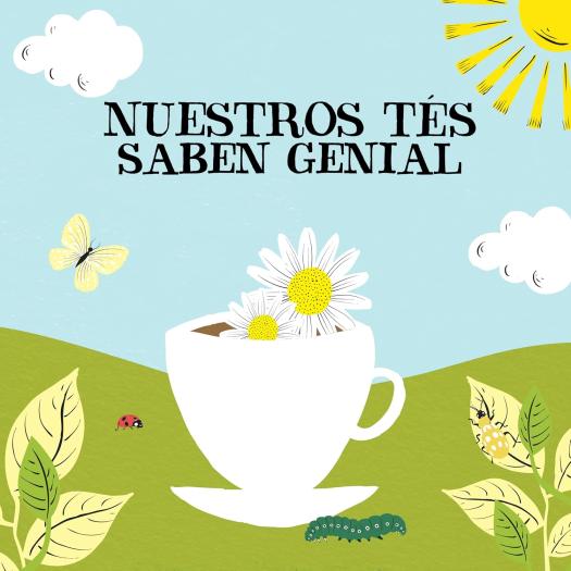 Infusión Manzanilla Cupper Bio 250 bolsitas