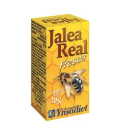 Jalea Real Fresca Ynsadiet 20g