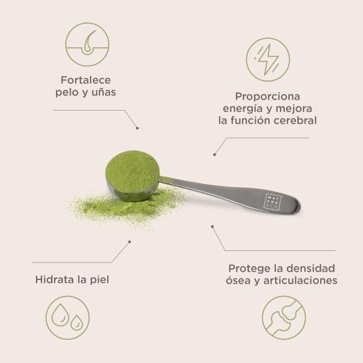 Matcha Collagen Colágeno con Magnesio y Té Matcha Matcha&Co 300g