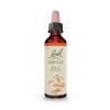 Mimulus Mímulo 20 Flores de Bach Originales 20ml