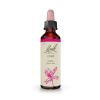 Oak Roble 22 Flores de Bach Originales 20ml