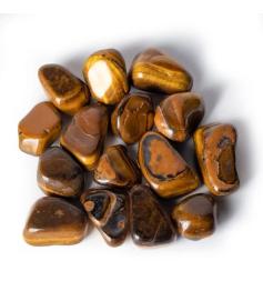 Ojo de Tigre Pulido Calidad A 1ud 3-8cm