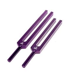 Pack Diapasón Afinador DO y SOL Morado 11cm