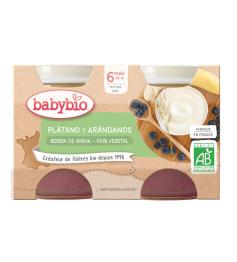 PACK Yogur de Avena, Plátano y Arándanos 100% Vegetal Babybio 2x130g