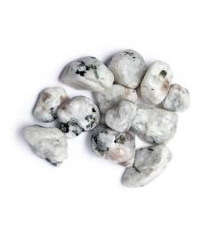 Piedra Lunar Blanca Pulida Calidad A 1ud 2-4cm