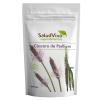 Psyllium Husk en Cáscara Salud Viva Bio 200g