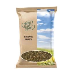 Salicaria Planta Herbes del Molí 50gr