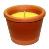 Vela Maceta de Citronela Antimosquitos