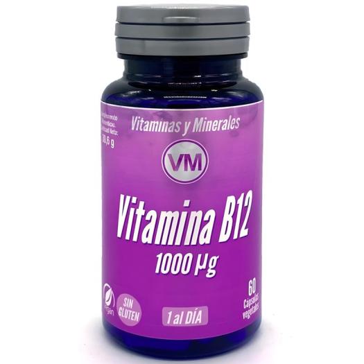 VItamina B12 Ynsadiet 60 Cápsulas Vegetales