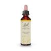 Wild Oat Avena Silvestre 36 Flores de Bach Originales 20ml
