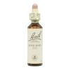 Wild Rose Rosa Canina 37 Flores de Bach Originales 20ml