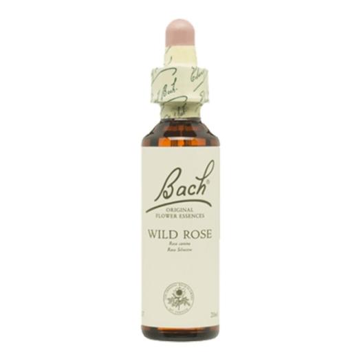 Wild Rose Rosa Canina 37 Flores de Bach Originales 20ml