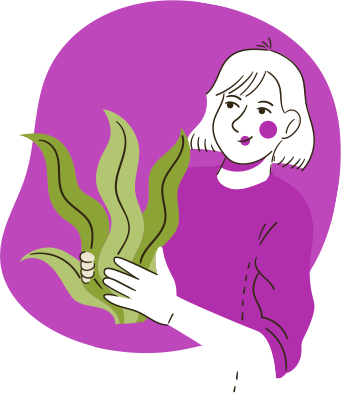 Otra imagen de Hoja de Producto